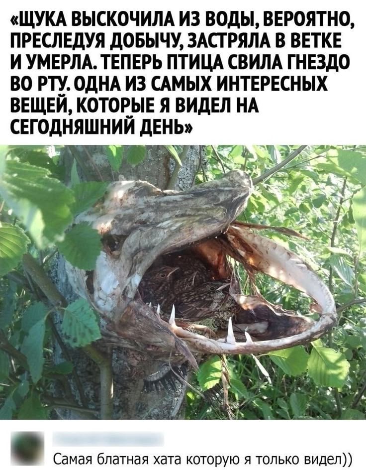 https://forumstatic.ru//uploads/001c/76/31/3/54544.jpg