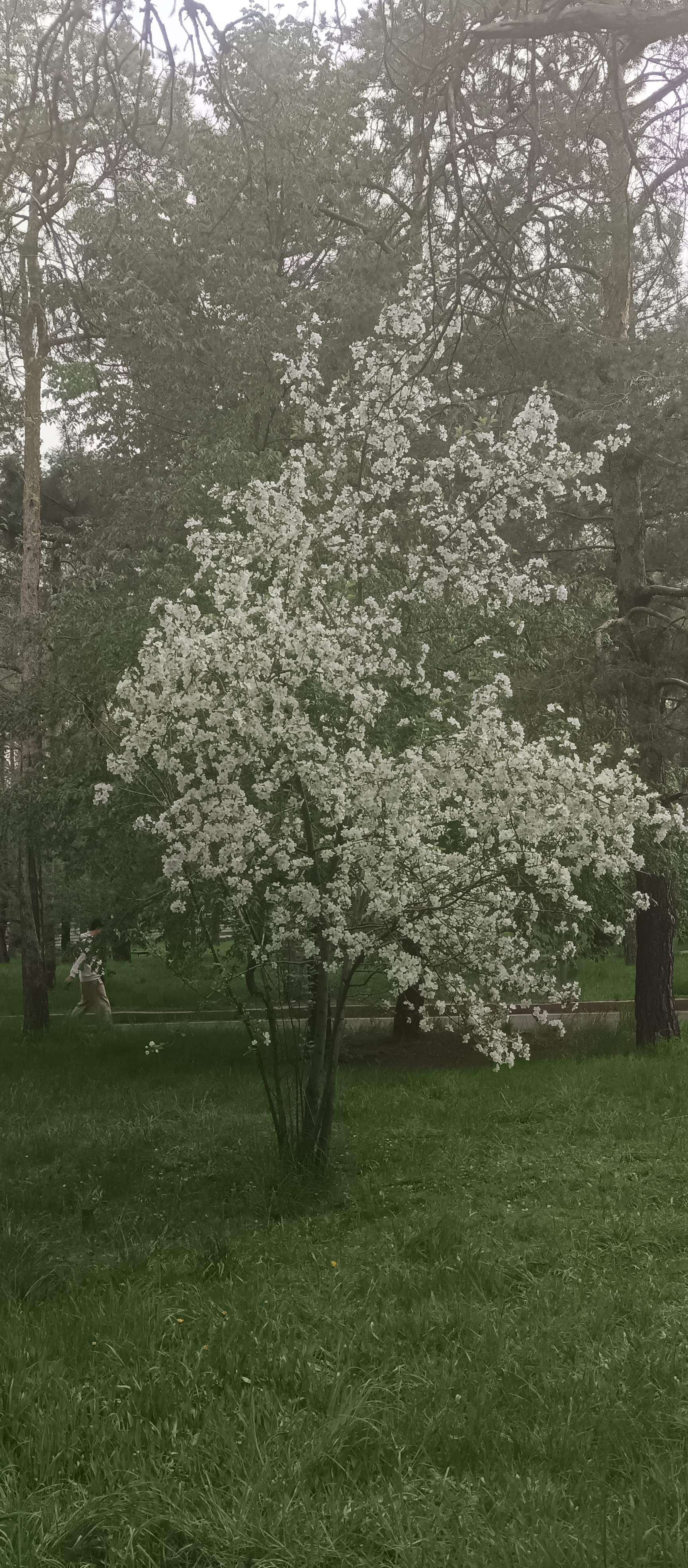 https://forumstatic.ru//uploads/001c/76/31/3/556619.jpg