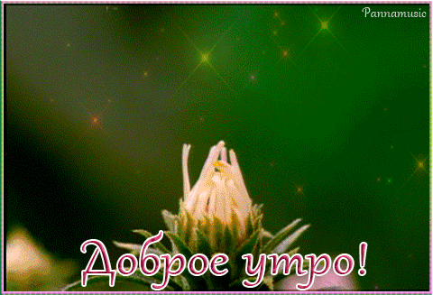 https://forumstatic.ru//uploads/001c/76/31/3/560728.gif