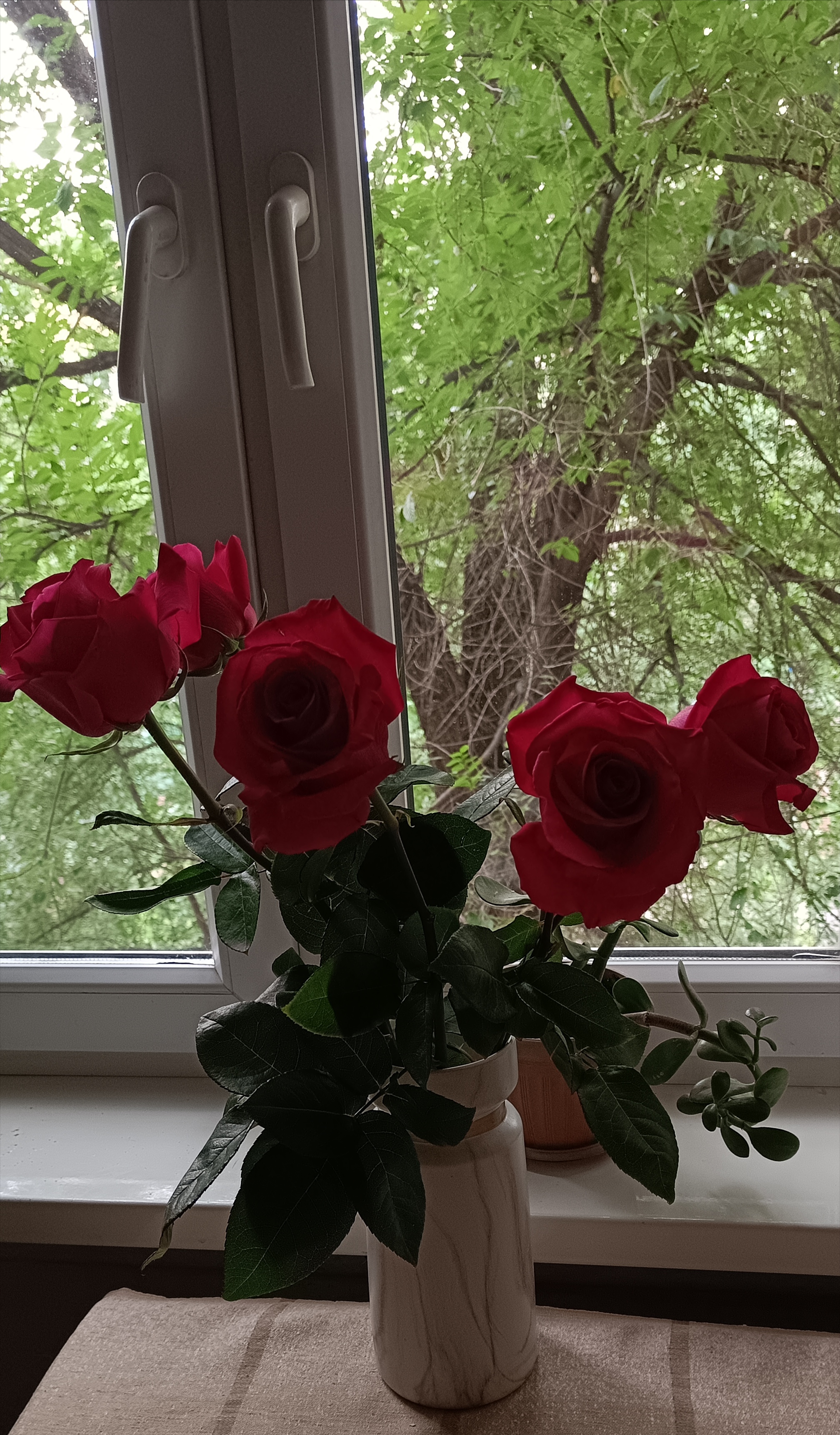 https://forumstatic.ru//uploads/001c/76/31/3/573990.jpg