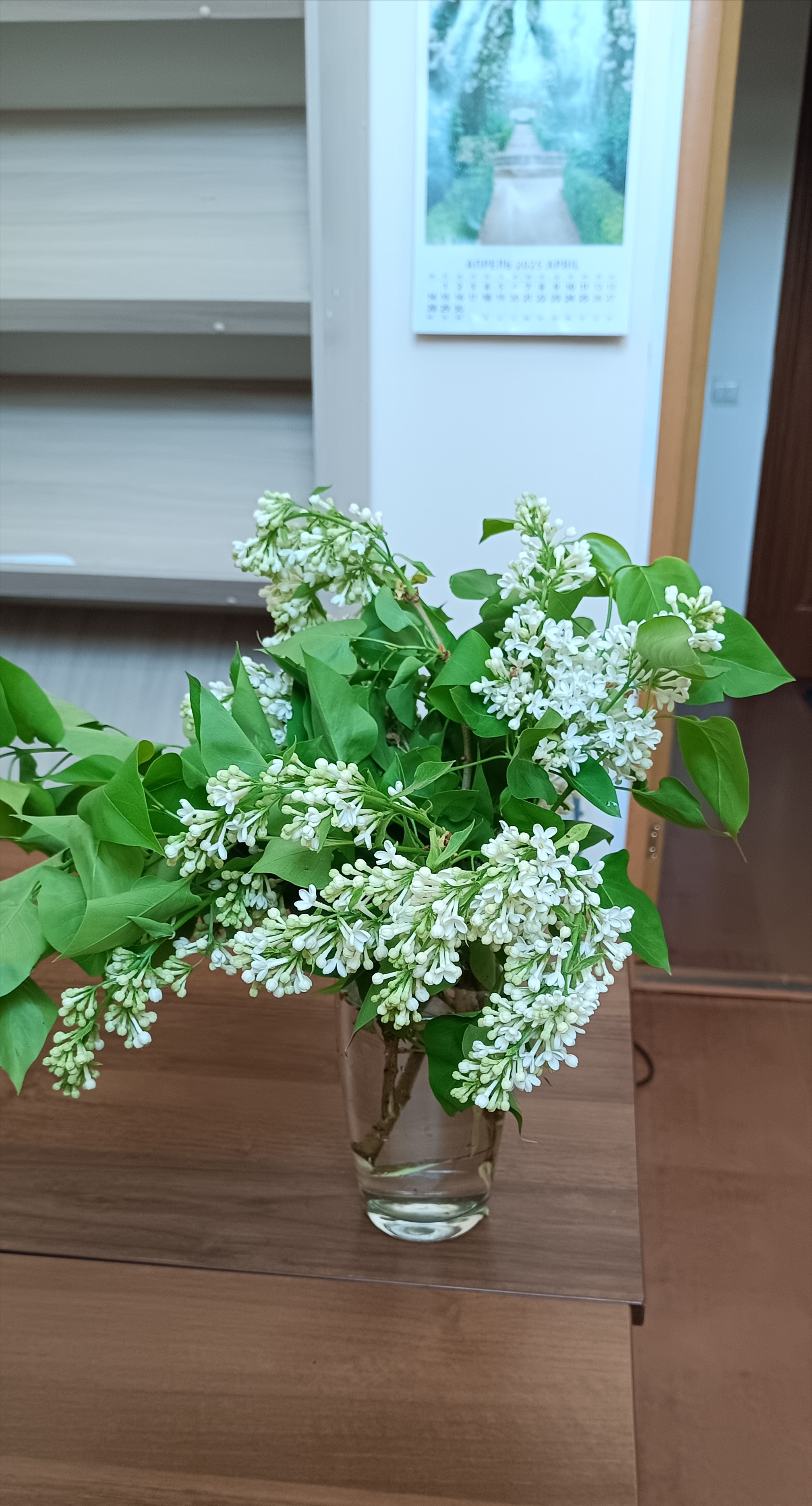 https://forumstatic.ru//uploads/001c/76/31/3/88808.jpg