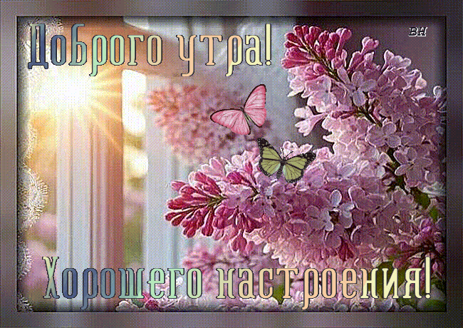 https://forumstatic.ru//uploads/001c/76/31/3/905600.gif