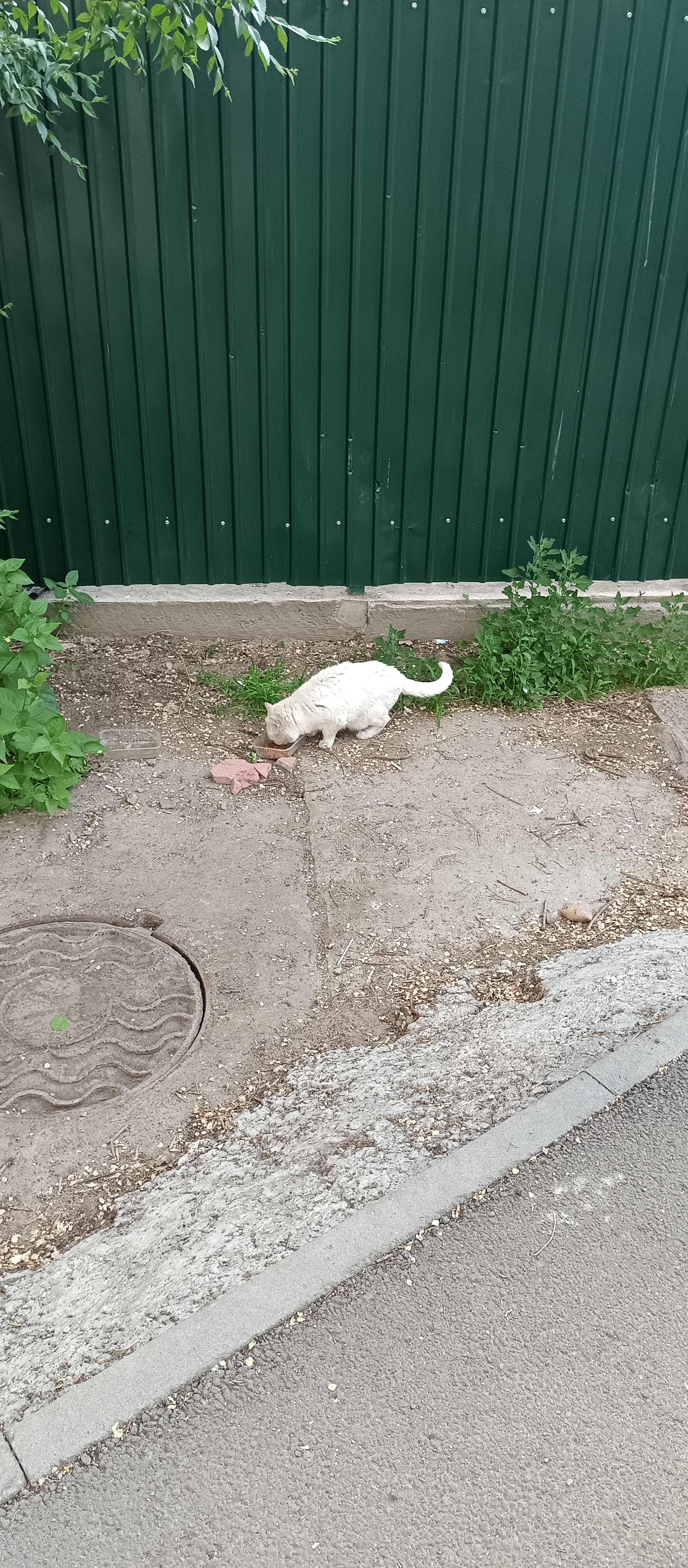 https://forumstatic.ru//uploads/001c/76/31/3/982683.jpg
