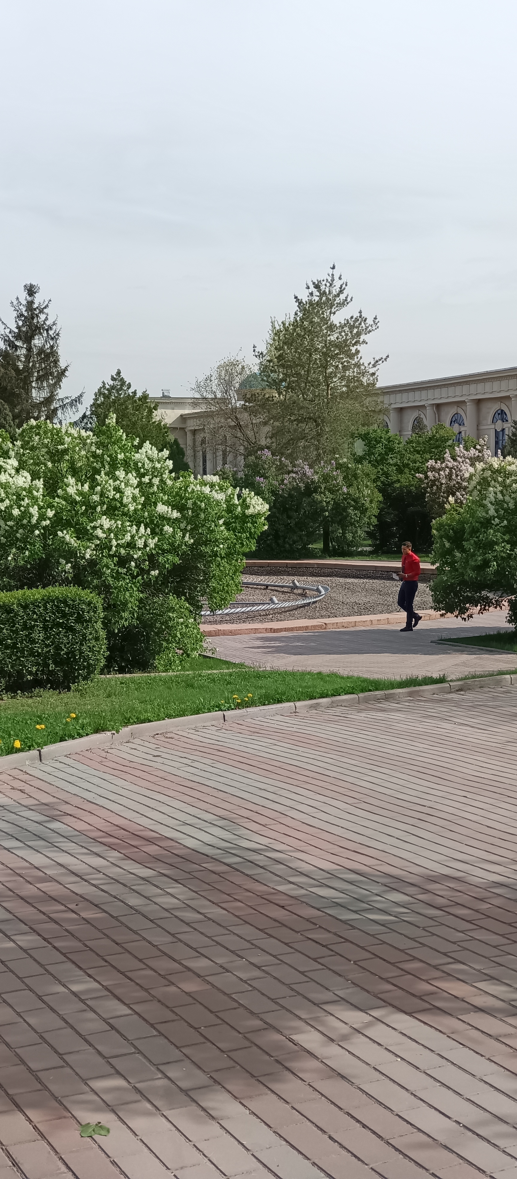 https://forumstatic.ru//uploads/001c/76/31/3/98647.jpg