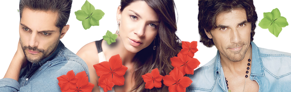 www.amorlatinoamericano.bbok.ru
