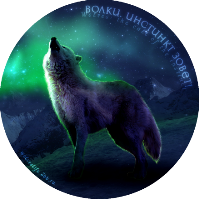 Волки. Инстинкт зовет! Волки. Инстинкт зовет!