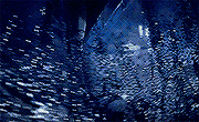https://forumstatic.ru/files/000e/85/f0/72552.gif