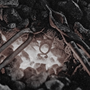 https://forumstatic.ru/files/0010/52/3b/55644.png