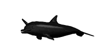 https://forumstatic.ru/files/0011/8f/0e/27024.gif