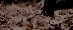 https://forumstatic.ru/files/0011/b8/a1/15193.gif