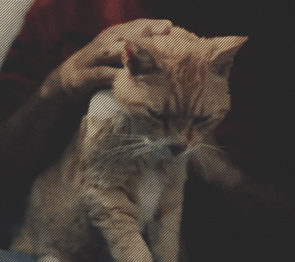 https://forumstatic.ru/files/0011/b8/a1/18215.gif