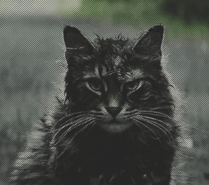 https://forumstatic.ru/files/0011/b8/a1/44655.gif