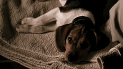 https://forumstatic.ru/files/0011/b8/a1/92400.gif