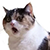 https://forumstatic.ru/files/0014/e6/c6/31406.png