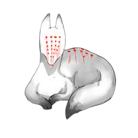 https://forumstatic.ru/files/0016/e6/98/12548.png