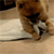 https://forumstatic.ru/files/001a/07/7d/66585.gif