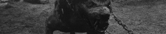 https://forumstatic.ru/files/001a/d7/df/74587.png