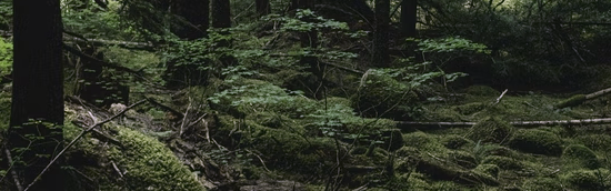 https://forumstatic.ru/files/001b/a7/69/70863.png