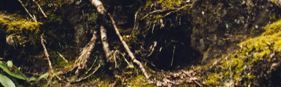 https://forumstatic.ru/files/001b/a7/69/87013.png
