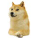 https://forumstatic.ru/files/001b/bf/0a/69399.png
