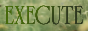 Execute