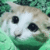 https://forumstatic.ru/files/001b/f4/a2/30978.gif