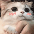 https://forumstatic.ru/files/001b/f4/a2/76007.gif