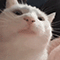 https://forumstatic.ru/files/001b/f4/a2/84271.gif