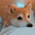 https://forumstatic.ru/files/001b/f4/a2/89072.gif