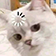 https://forumstatic.ru/files/001c/14/5b/20616.png