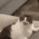 https://forumstatic.ru/files/001c/14/5b/35937.gif
