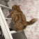 https://forumstatic.ru/files/001c/14/5b/60160.gif