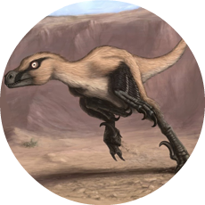 float:right float:right