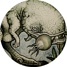 float:left float:left