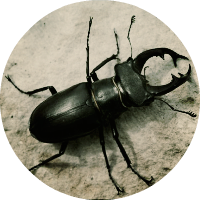 float:right float:right