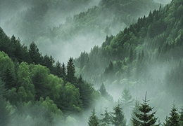 https://forumstatic.ru/files/001c/3d/e8/81035.png