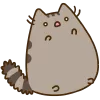 https://forumstatic.ru/files/001c/5f/34/37453.webp