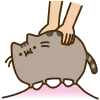 https://forumstatic.ru/files/001c/5f/34/63211.webp