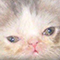 https://forumstatic.ru/files/001c/64/1a/29480.png