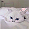 https://forumstatic.ru/files/001c/64/1a/31091.png