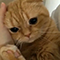 https://forumstatic.ru/files/001c/64/1a/45327.png