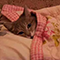 https://forumstatic.ru/files/001c/64/1a/49277.png
