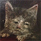 https://forumstatic.ru/files/001c/64/1a/59355.png