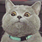 https://forumstatic.ru/files/001c/64/1a/63225.png