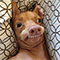 https://forumstatic.ru/files/001c/6a/3a/26530.png