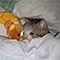 https://forumstatic.ru/files/001c/6a/3a/74769.png