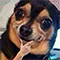 https://forumstatic.ru/files/001c/6a/3a/83089.png