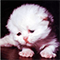 https://forumstatic.ru/files/001c/6a/3a/89065.png