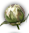 https://forumstatic.ru/files/001c/76/cb/93923.png