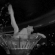 https://forumstatic.ru/files/001c/84/ea/15309.gif